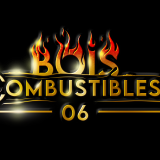 BOIS COMBUSTIBLES 06