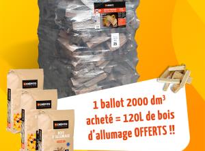Ballot 2000dm3 et bois d'allumage offerts Crépito réseaux
