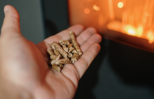 Stockage de granulés de bois et monoxyde de carbone : quels risques pour la santé ?
